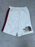 Gucci x The North Face Web Print Shorts